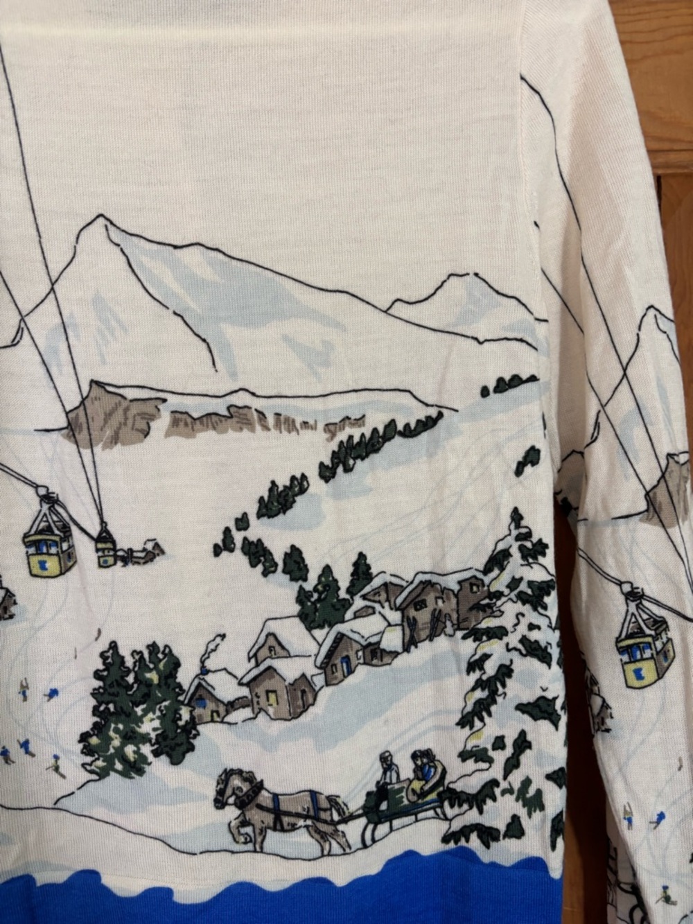 Rare Collectable J.Crew Vintage Ski Scene Sweater Merino Wool Size Small - Picture 7 of 12